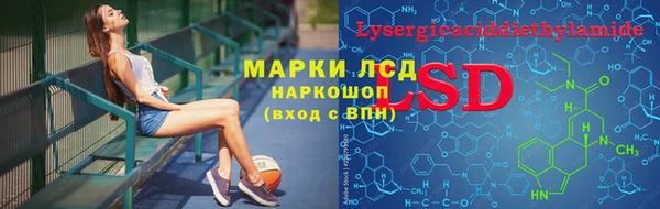 СК Инсар