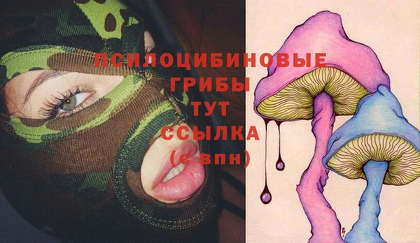 твердый Алексин