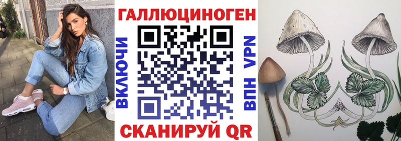 Галлюциногенные грибы Cubensis  Усолье-Сибирское 